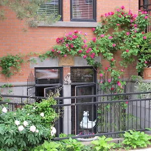 A Gem Downtown , Montreal Canada